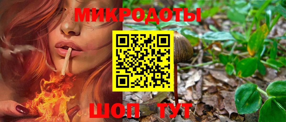 Туапсе  Галлюциногенные грибы Cubensis  Вход с VPN  Псилоцибиновые грибы прущие грибы 